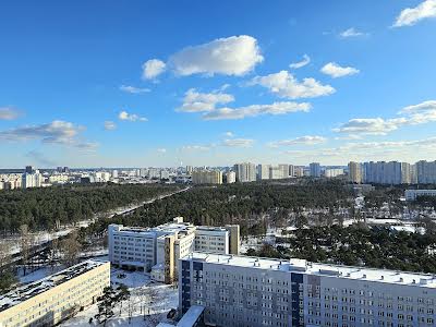 квартира за адресою Чорних Запорожців вул. (Петра Запорожця), 26