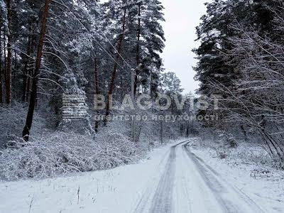 дом по адресу с. Кременище, Центральна