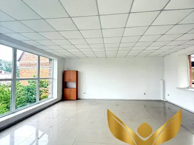 комерційна за адресою Шульгіних вул., 13а
