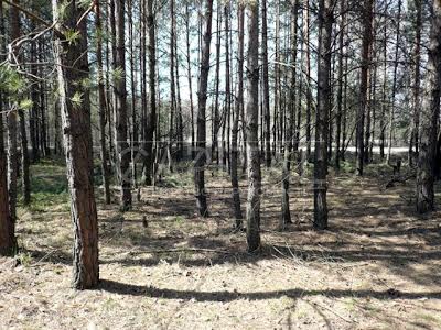 ділянка за адресою Київська