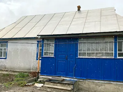 будинок за адресою с. Пашківка, Центральна