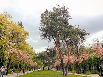 квартира за адресою Братиславська вул., 2