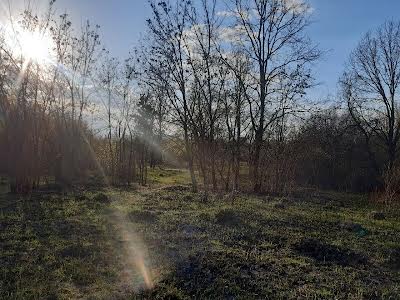 ділянка за адресою Біла Церква, Гайок