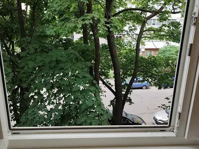 квартира по адресу Богдановская ул., 1