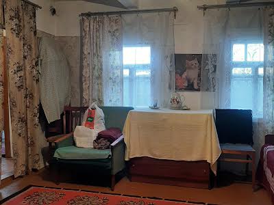 будинок за адресою Революції Гідності вул. (Революції)