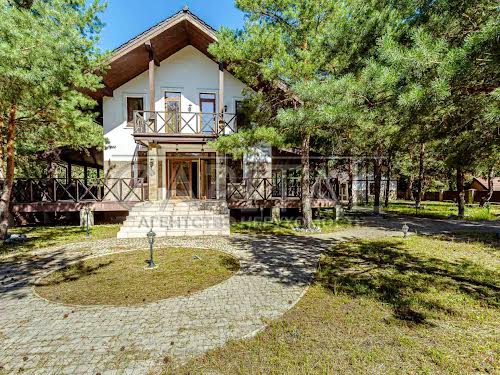 будинок за адресою с. Дмитрівка, Радісна