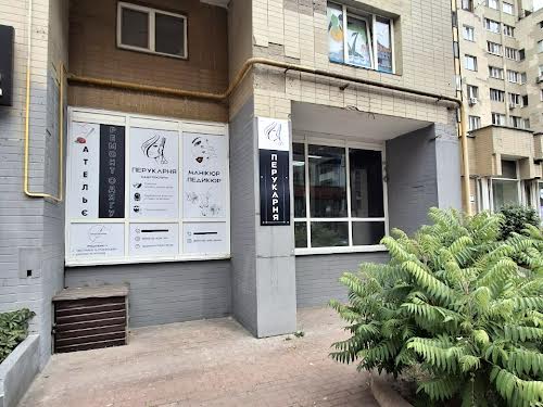 комерційна за адресою Левка Лук'яненка вул. (Маршала Тимошенка), 19