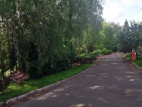ділянка за адресою Лісова