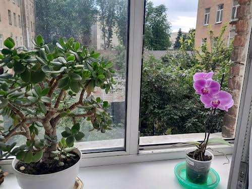 квартира по адресу Институтская ул., 24/7