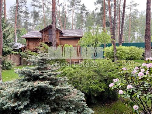 будинок за адресою с. Плюти, Київська вул.