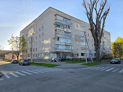 квартира за адресою Академіка Маслова вул. (Радянська), 29
