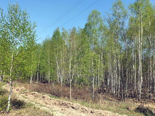 будинок за адресою с. Ровжі, Приозерна