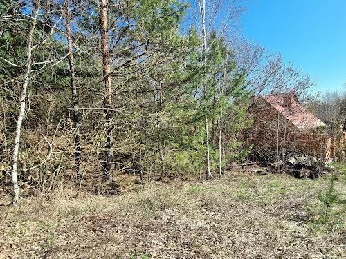 ділянка за адресою с. Гореничі, Олександра Матросова вул., 10