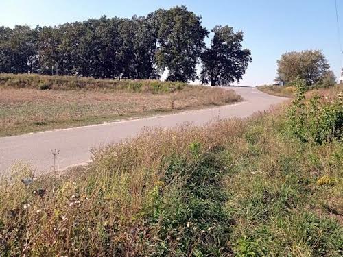 участок по адресу пгт. Глеваха, Житомирська