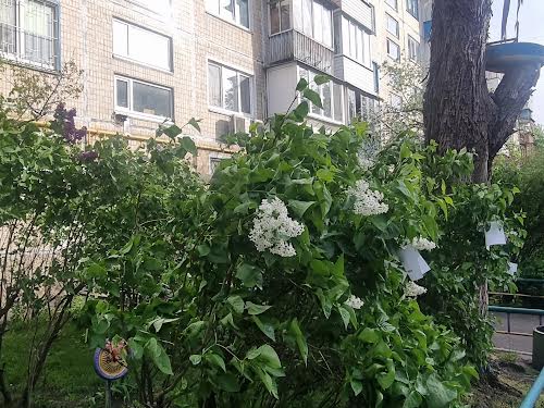 квартира по адресу Милютенко ул., 12