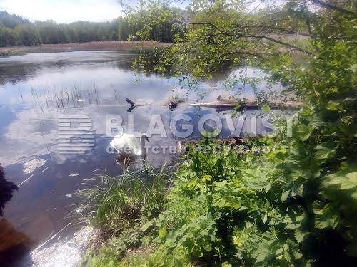ділянка за адресою Лугова