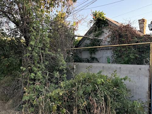 будинок за адресою Мицкевича, 5