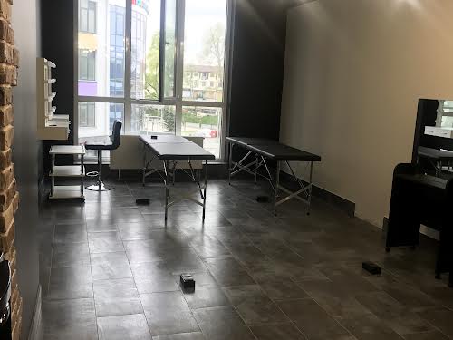 комерційна за адресою Центральна вул., 19