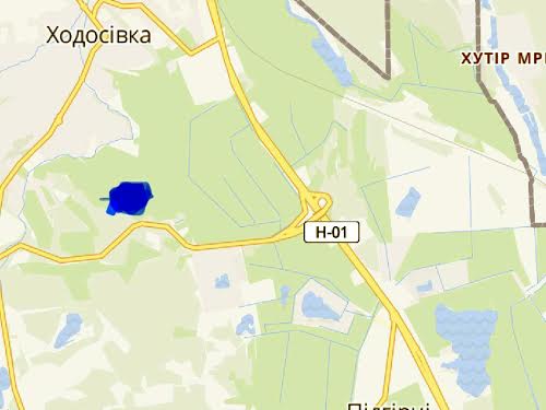 участок по адресу с. Ходосовка, 