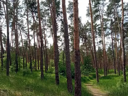 будинок за адресою Ліснича вул.