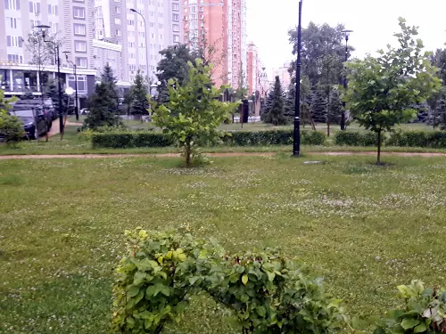 квартира за адресою Володимира Івасюка просп. (Героїв Сталінграду), 2-Д