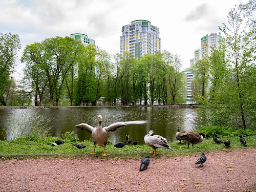 коммерческая по адресу Байды Вишневецкого ул. (Осиповского), 1а