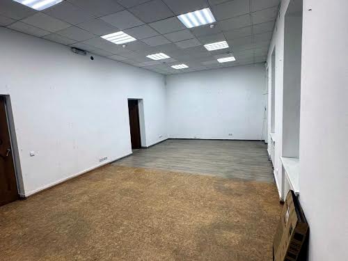 комерційна за адресою Пантелеймона Куліша вул., 24