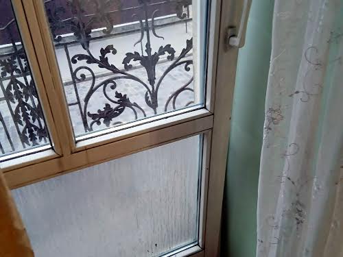 квартира за адресою Пантелеймона Куліша вул., 13