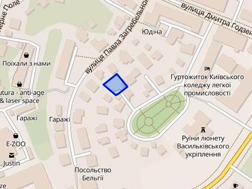 участок по адресу Дмитра Дорошенка ул. (Чигоріна), 21