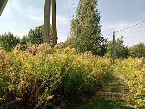 участок по адресу В.Стуса, 48