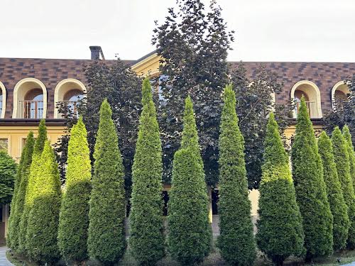 коммерческая по адресу Соляниковский пер., 10/12