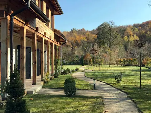будинок за адресою с. Великі Дмитровичі, лісова