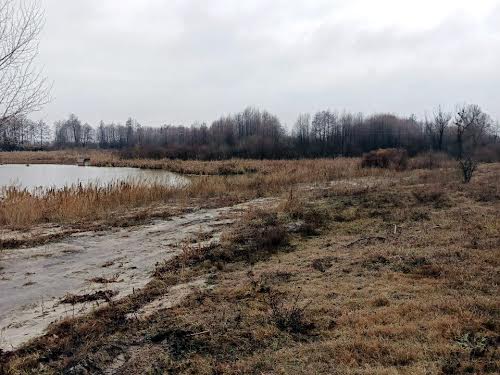 участок по адресу с. Процев, 