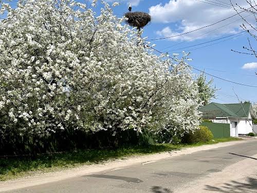 будинок за адресою Левадна вул., 28