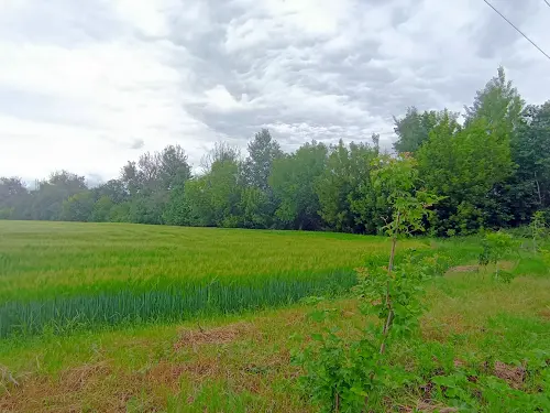 участок по адресу Північна