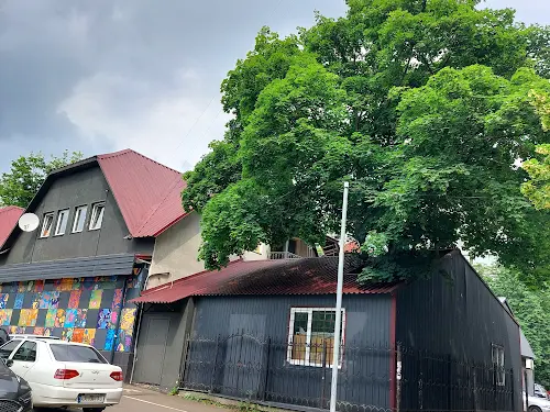 коммерческая по адресу Олега Мудрака ул. (Генерала Наумова), 29