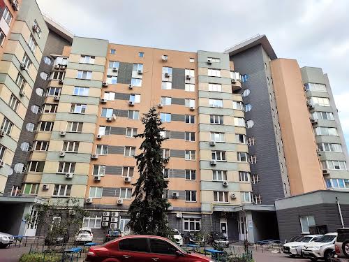 комерційна за адресою Раїси Окіпної вул., 8