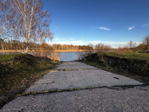 ділянка за адресою с. Плюти, 