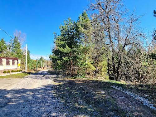 ділянка за адресою с. Гореничі, Олександра Матросова вул., 10