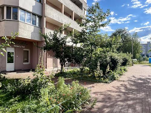 комерційна за адресою Олени Пчілки вул., 2А