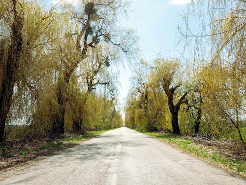 ділянка за адресою с. Стайки, 