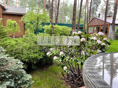 будинок за адресою с. Плюти, Київська вул.