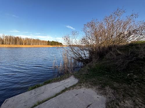 ділянка за адресою с. Плюти, 