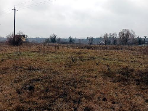 участок по адресу с. Процев, 