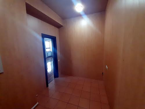 комерційна за адресою Шота Руставелі вул., 44