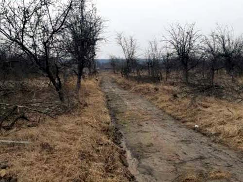 ділянка за адресою Зоряна