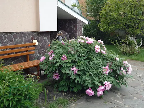 будинок за адресою Богатырская, 2