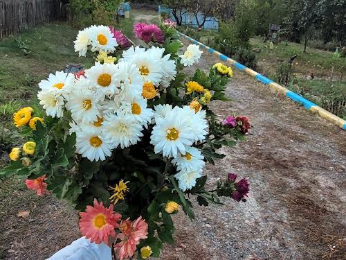 будинок за адресою Хутірська, 7