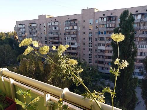 квартира по адресу Вацлава Гавела бульв. (Івана Лепсе), 21-Б