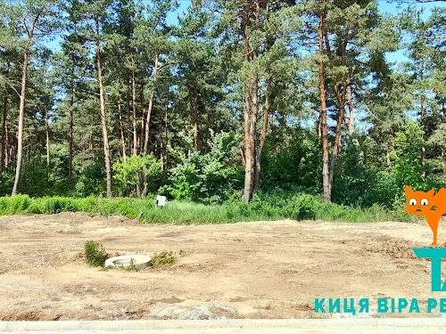 дом по адресу с. Заборье, Ярослава Мудрого, 25